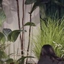 율곡천제방L | [신사] 백현 HELLO,WORLD 팝업스토어