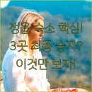 H모텔 | 정읍 숙소 실패 없는 완벽 선택 가이드 호텔로얄 H모텔 엘리제궁 최종 비교