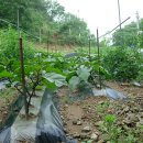 화랑골민박 이미지