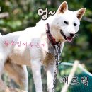 월