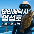 태안-호스릴-50 | 태안배낚시 명성호 / 실조행 후기