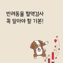 네추럴레매디 이미지