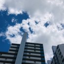 엘리트 태권도 이미지