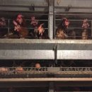 우진비앤지(주) 이미지