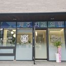 즐거운제주치과의원 네이버블로그