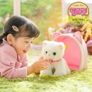 헬로펫 이미지