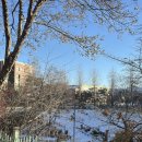 한주통상 | 30주차 임산부 교통사고..무조건적인 출산 후 협의가 답은 아니다? 협의&amp;대처 &amp;진료 후기