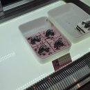 투썸플레이스순천백강대로점 | 투썸플레이스 떠먹는 딸기초코 크런치 아박 케이크 리뷰. 가격 7500원 칼로리 680킬로칼로리. 투썸...