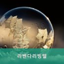 라벤더고시원