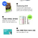 알기쉬운 성인영어교실 | 성인외국어학습지 777영어학습지로 성인영어공부혼자하기 시작한 후기