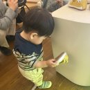 토이조이 | 팁토이조이 뉴보시 eur22 사이즈 후기