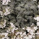 세븐일레븐도봉파크빌점 이미지