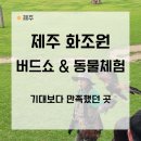 러브버드앵무새농장 | 제주 화조원 후기｜5살 아이와 다녀온 제주 동물체험, 기대 이상이었던 버드쇼