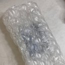 시우상회 | 우리 아이 간식으로 딱! | 또바기상회에서 만난 달콤한 신선과일 사파이어포도