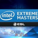 월드타이거즈 이미지