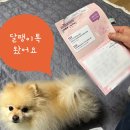 느린우체통 | 📬광안리 해변 느린우체통 &amp; 달팽이톡 후기