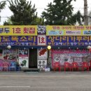 전라도똑소리