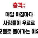 와이모텔 Daum카페