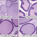 토정한의원 이미지