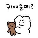 다람쥐곰방