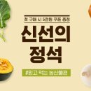 신선 이미지
