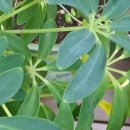 광주탑정형외과 이미지