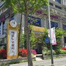 대박성인게임장(일-135호) | [대전 시청 점심] 단소 제주식 백반 제육 무한리필 내돈내산