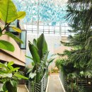 유니스의정원 이미지