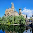 왈왈상점 이미지