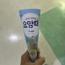 댕이샤워 이미지