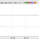 2007.11.23 알에프세미(096610) 하한가 분석자료 이미지