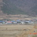 선창담배