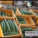 종진농장 이미지