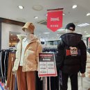 론즈데일NC