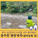 동두천 왕방계곡 - 주차 화장실 텐트 등 아이와 방문후기 방문팁 공유해요!