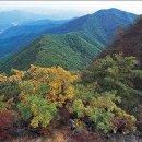 숲이 좋은 산길 - 축령산, 가리산 이미지