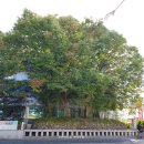 남원 석돈 이미지