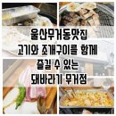 돼바라기무거점 이미지