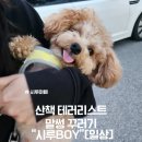 고집 이미지