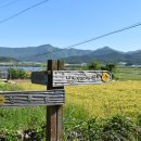 상발농장 네이버블로그