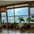 부자롯데공인중개사사무소 이미지