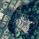 정정옹주 묘 이미지