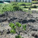 함덕연대 이미지