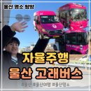 성주동 버스종점  사거리 | 울산 자율주행 버스를 직접 타봤습니다｜고래버스&amp;마실고래 체험 후기