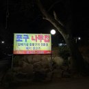 갈매기숯불소금구이 | [부산 맛집] 노포감성 포구나무집 갈매기 소금구이 후기
