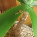 나무PC방 이미지