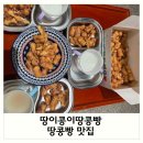 신미주(아) | 땅콩빵 맛집 : 땅이콩이 땅콩빵