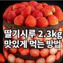 시루향 이미지