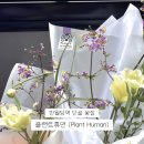 반월당 단골 꽃집 플랜트 휴먼, 플라워 클래스와 귀여운 꽃다발까지