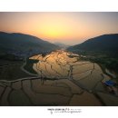 빛으로 그린 세상 이미지